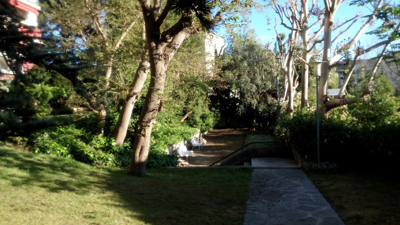 Photo of Outdoor in Cimiez
