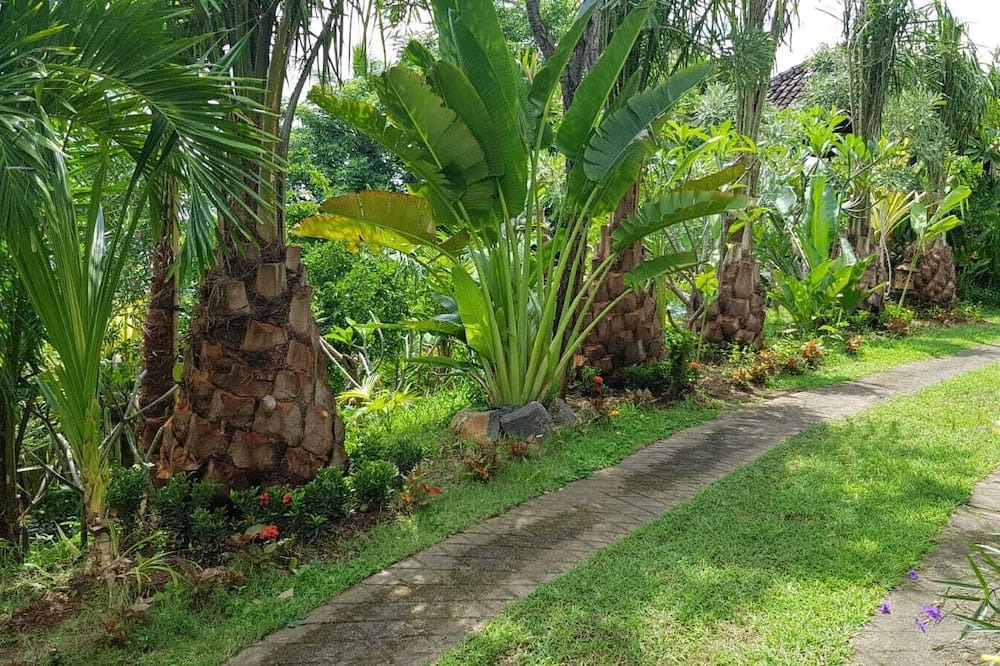 Photo of Outdoor in Kalibukbuk
