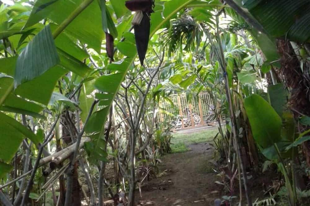 Photo of Outdoor in Kalibukbuk
