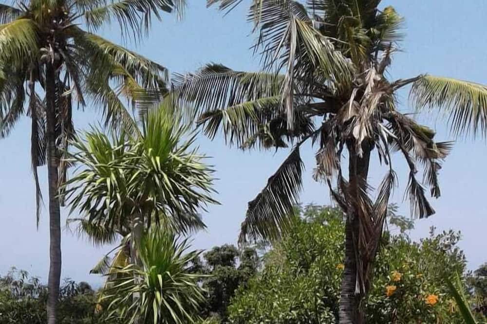 Photo of Outdoor in Kalibukbuk
