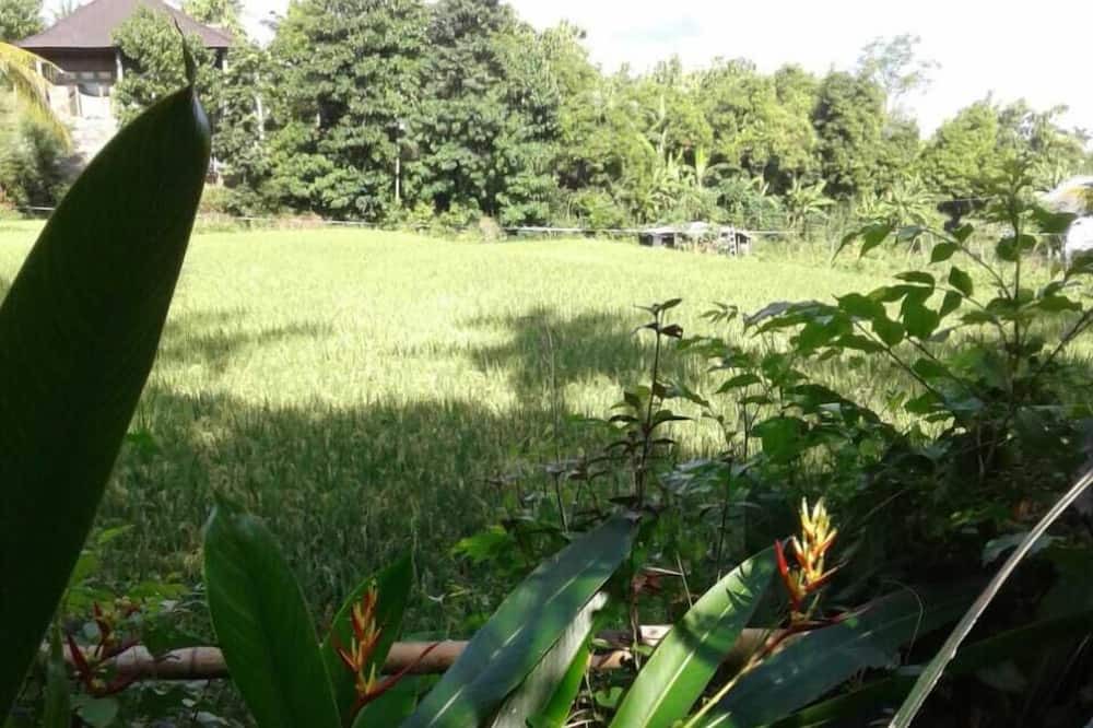 Photo of Outdoor in Kalibukbuk