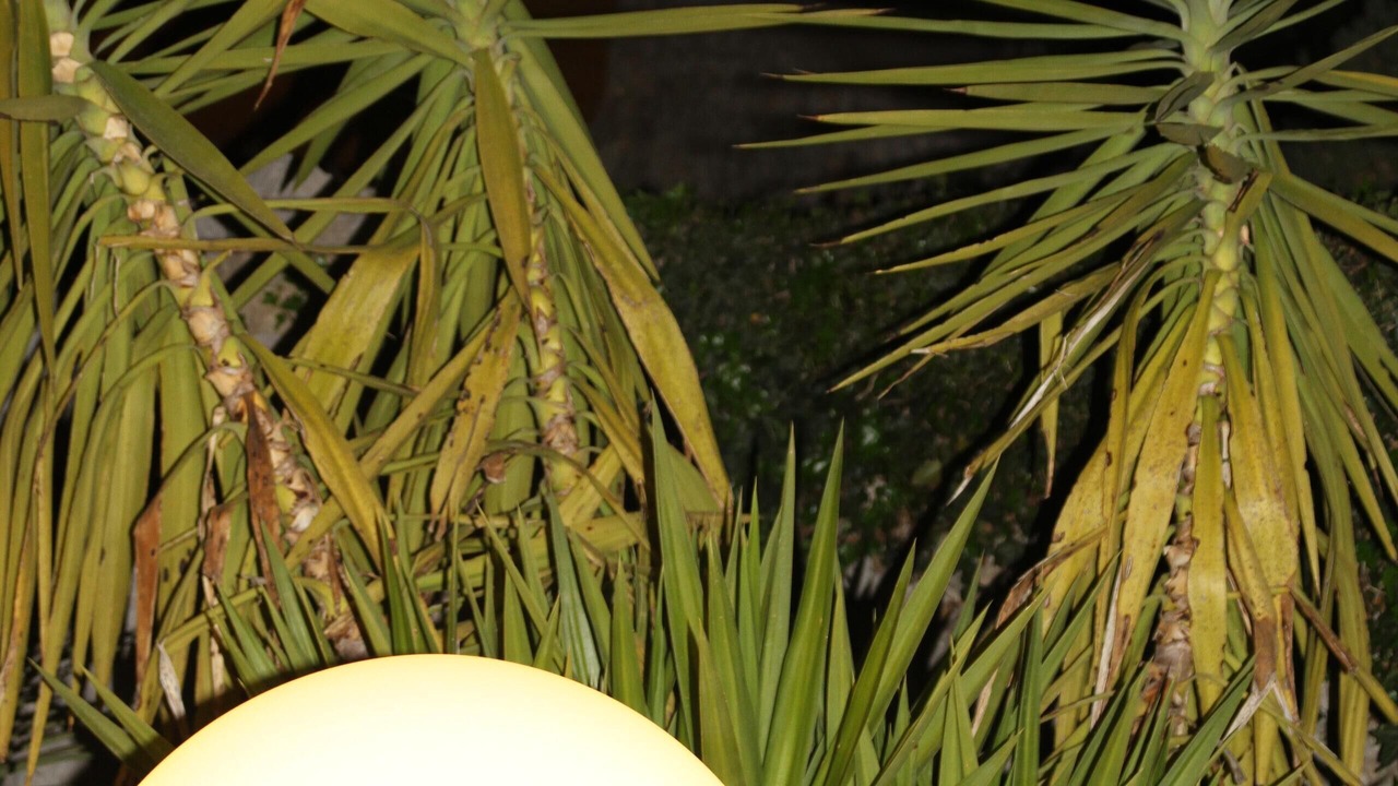 Photo of Outdoor in Peille