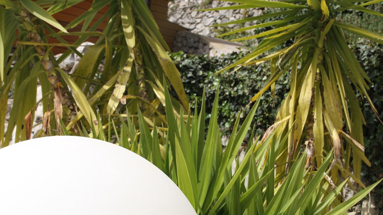 Photo of Outdoor in Peille