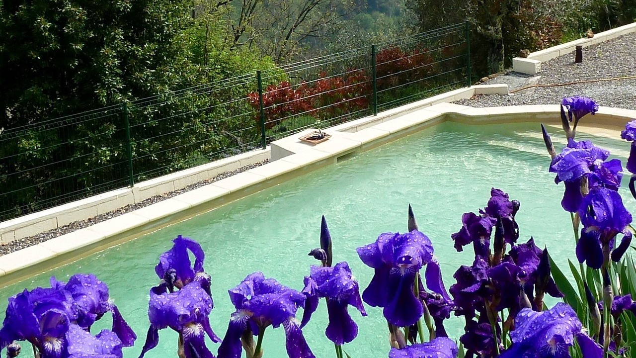 Photo of Outdoor in Utelle
