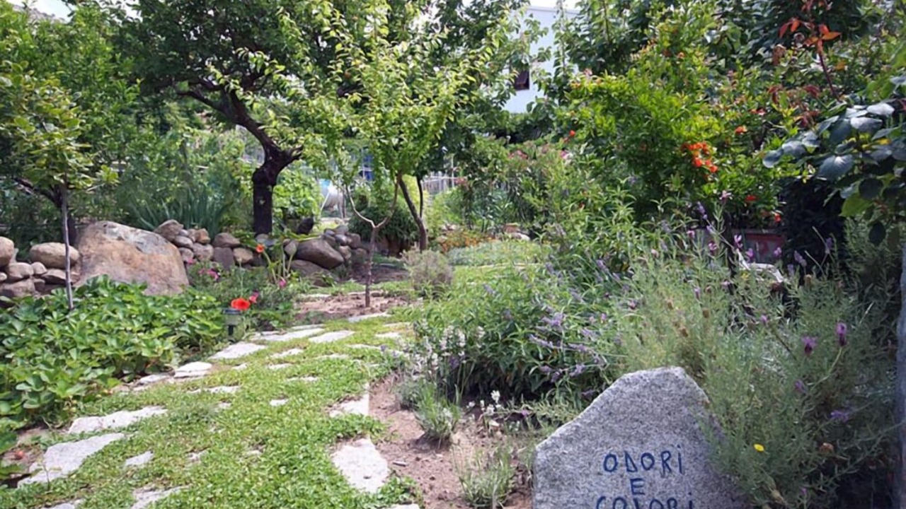 Photo of Outdoor in Pomonte
