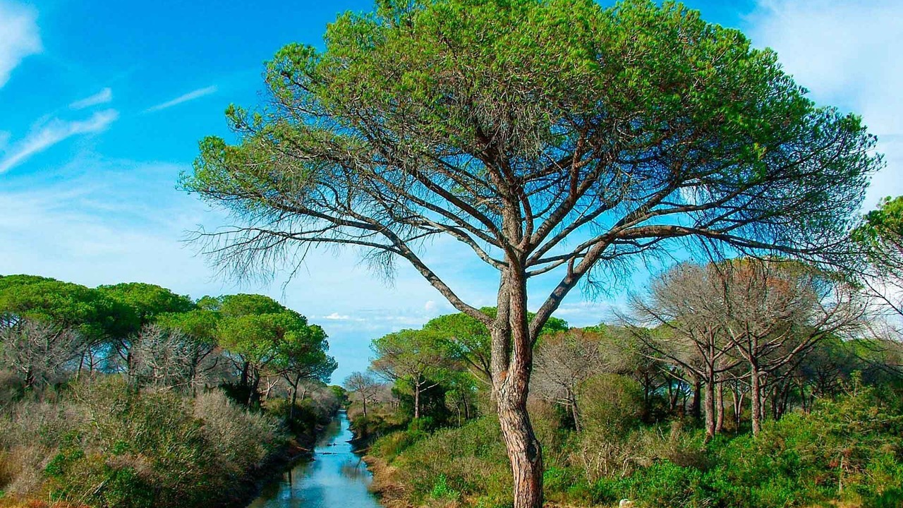 Photo of Outdoor in Grosseto