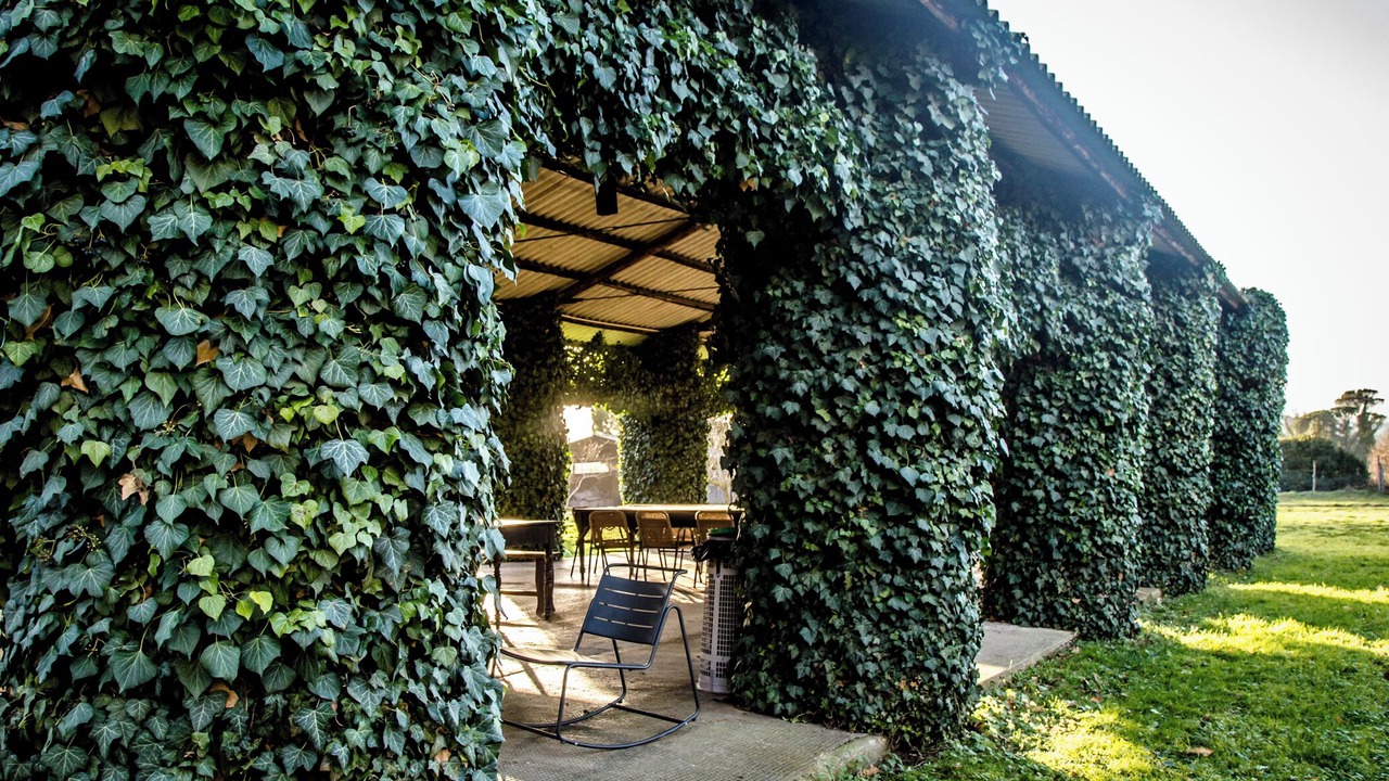 Photo of Outdoor in Civitella Paganico