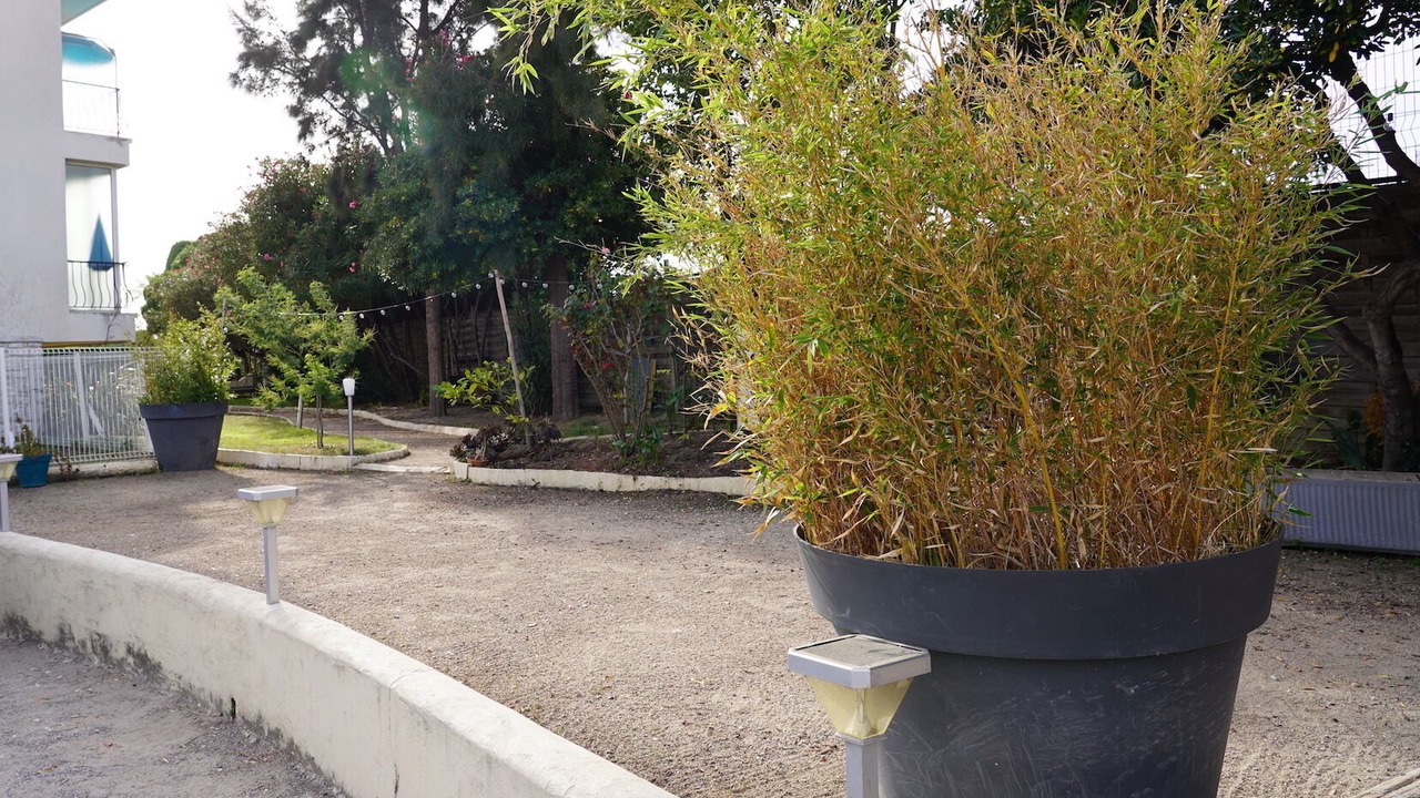 Photo of Outdoor in Cros-de-Cagnes