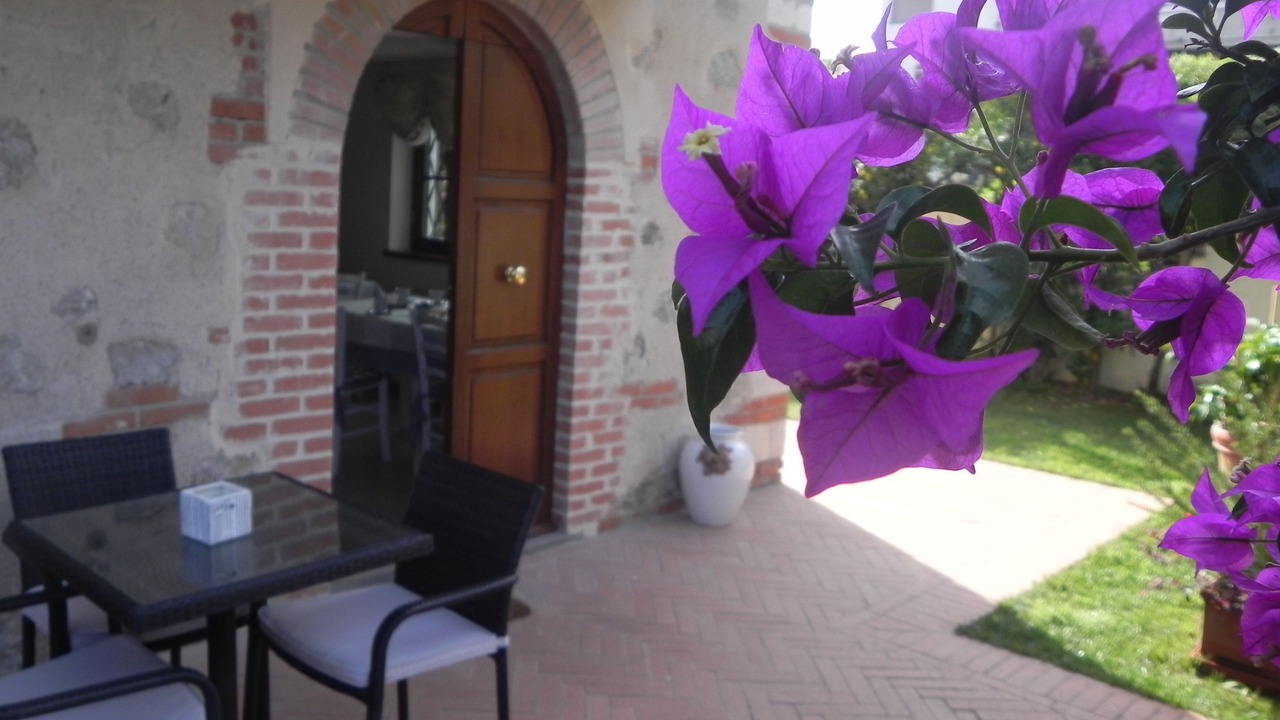 Photo of Outdoor in Lido di Camaiore