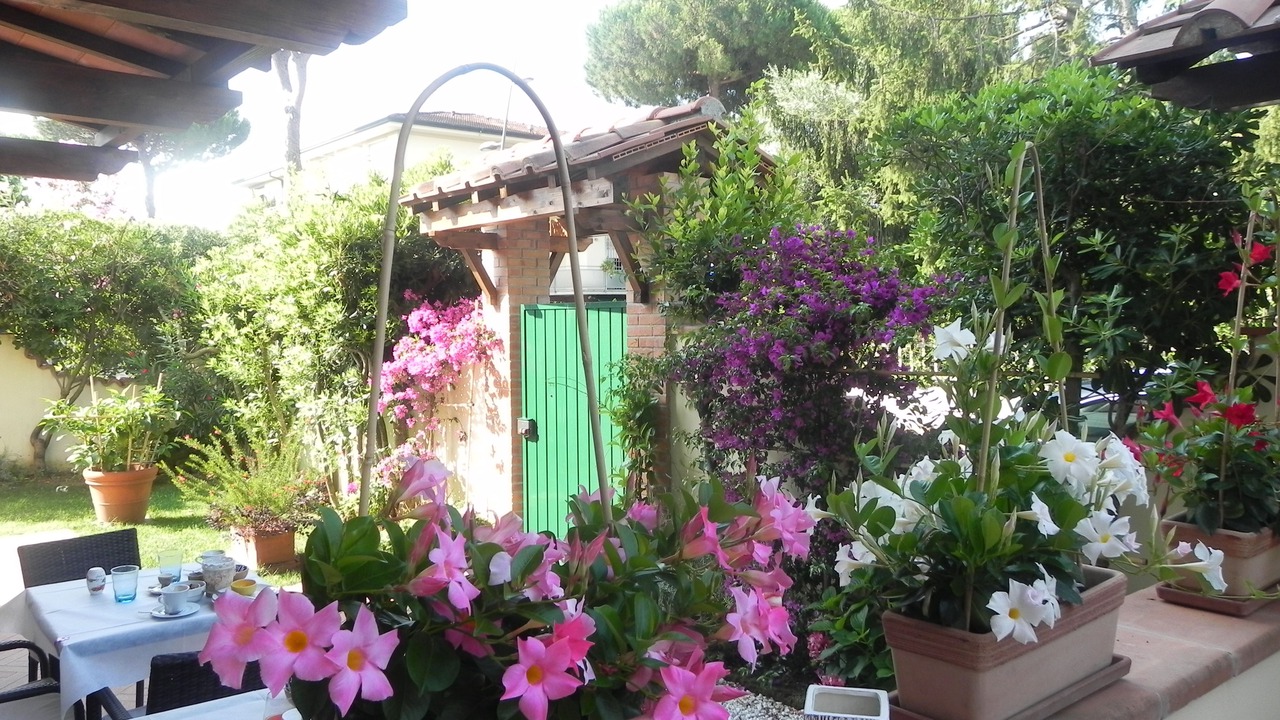 Photo of Outdoor in Lido di Camaiore