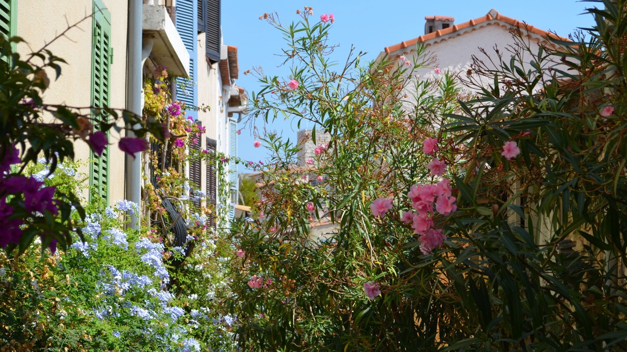 Photo of Outdoor in Antibes Old Town