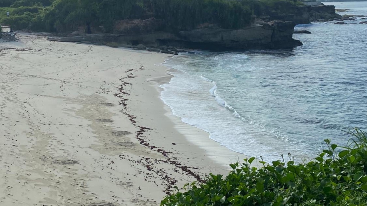 Photo of Others in Mushroom Bay