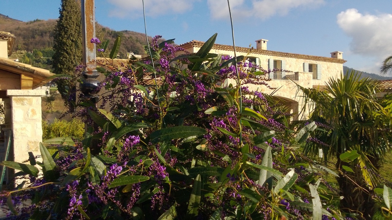 Photo of Outdoor in Tourrettes-sur-Loup