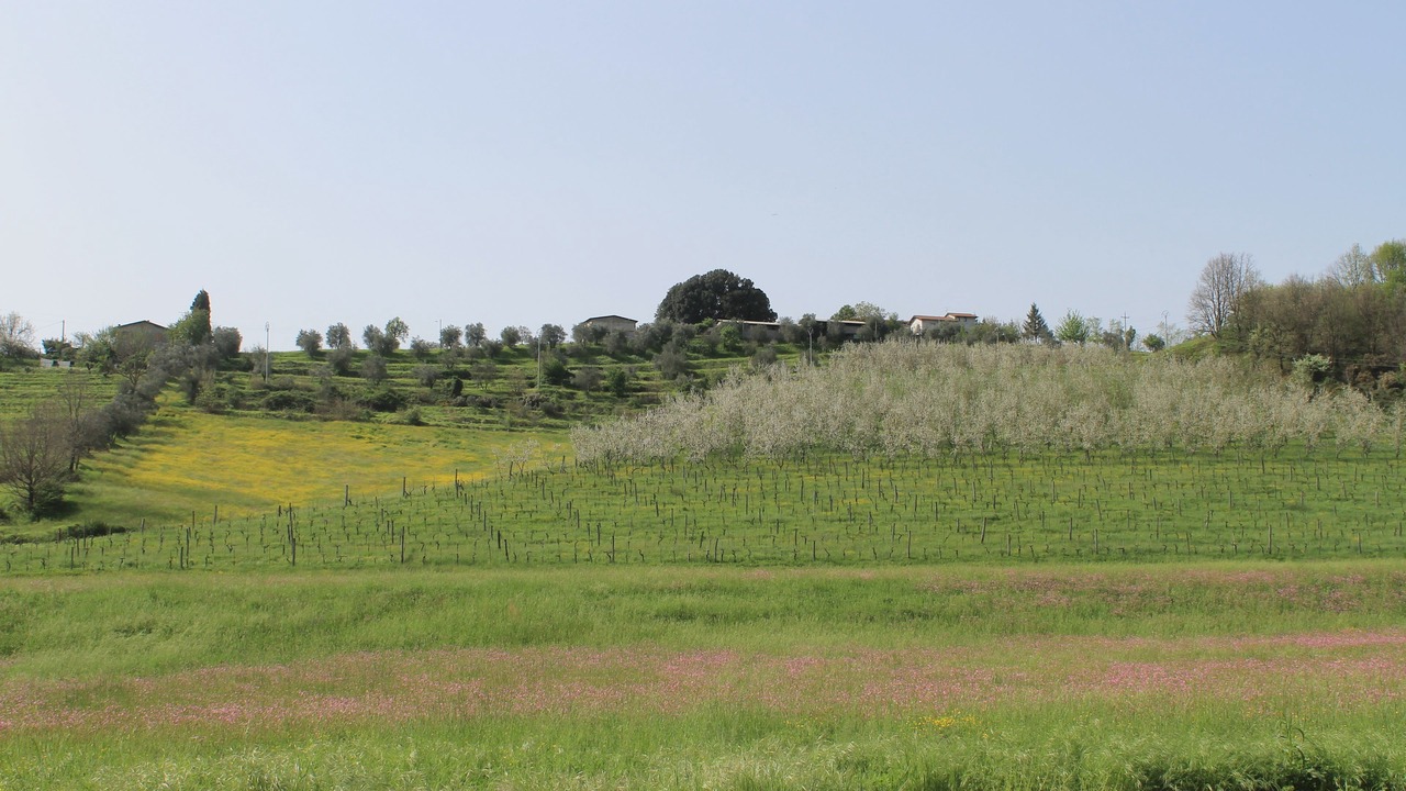 Photo of Outdoor in Gassano
