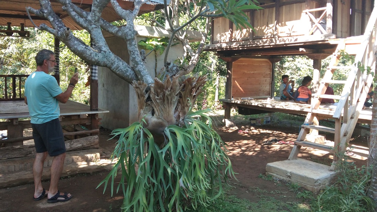 Photo of Outdoor in Sawan