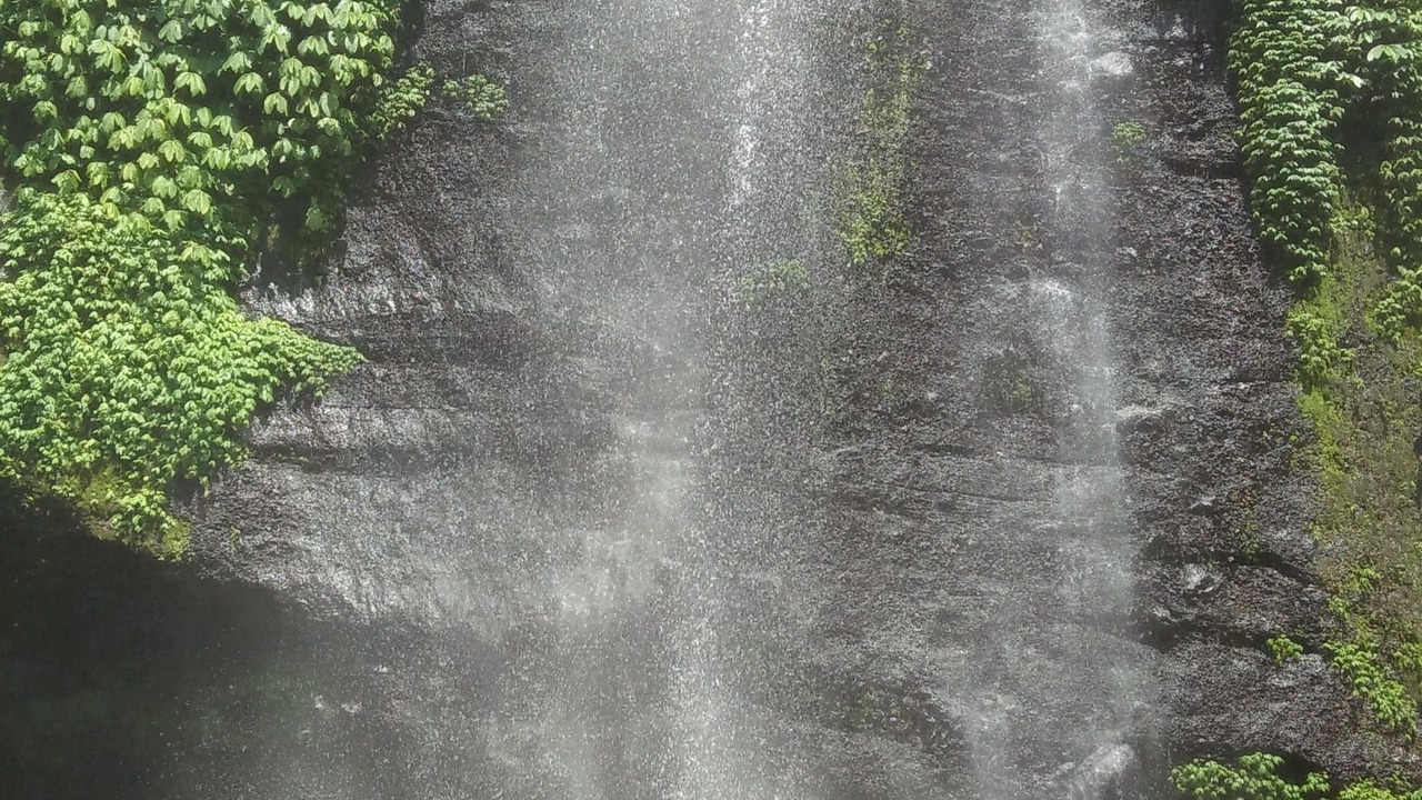 Photo of Others in Sawan