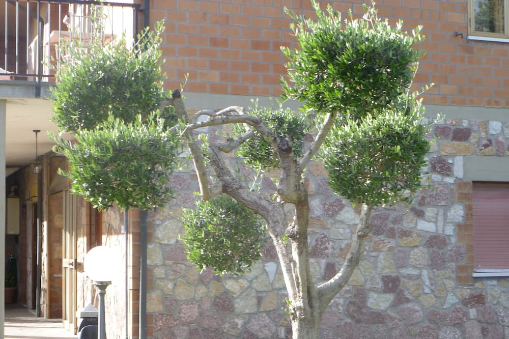 Photo of Outdoor in Saline di Volterra