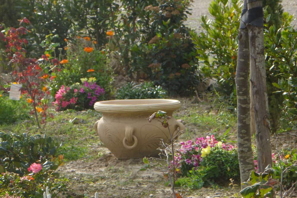 Photo of Outdoor in Saline di Volterra