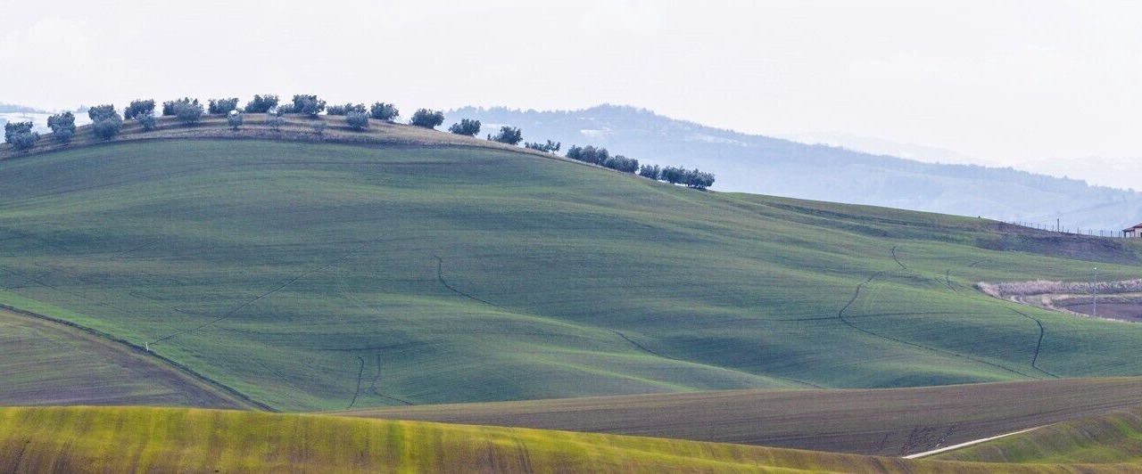 Photo of Outdoor in Pienza