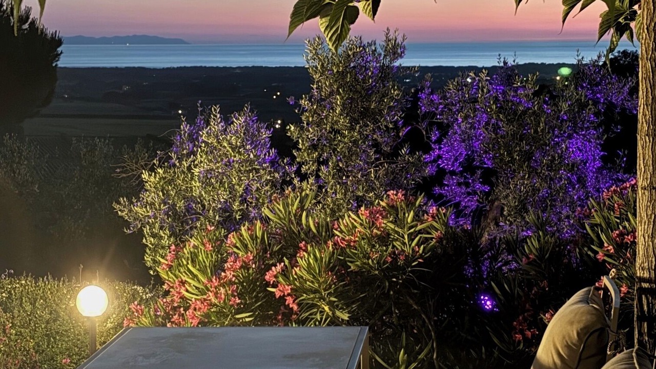 Photo of Outdoor in Castagneto Carducci