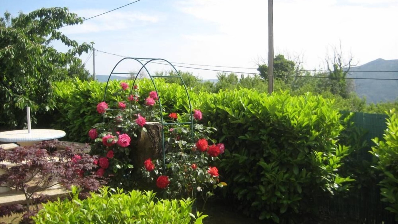 Photo of Outdoor in Berre-des-Alpes
