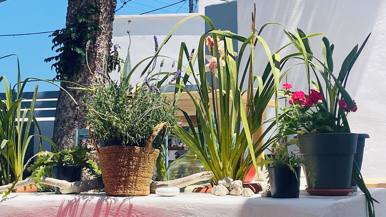 Photo of Outdoor in Karterados