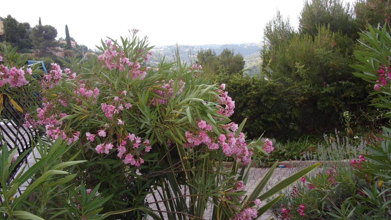 Photo of Outdoor in Aspremont