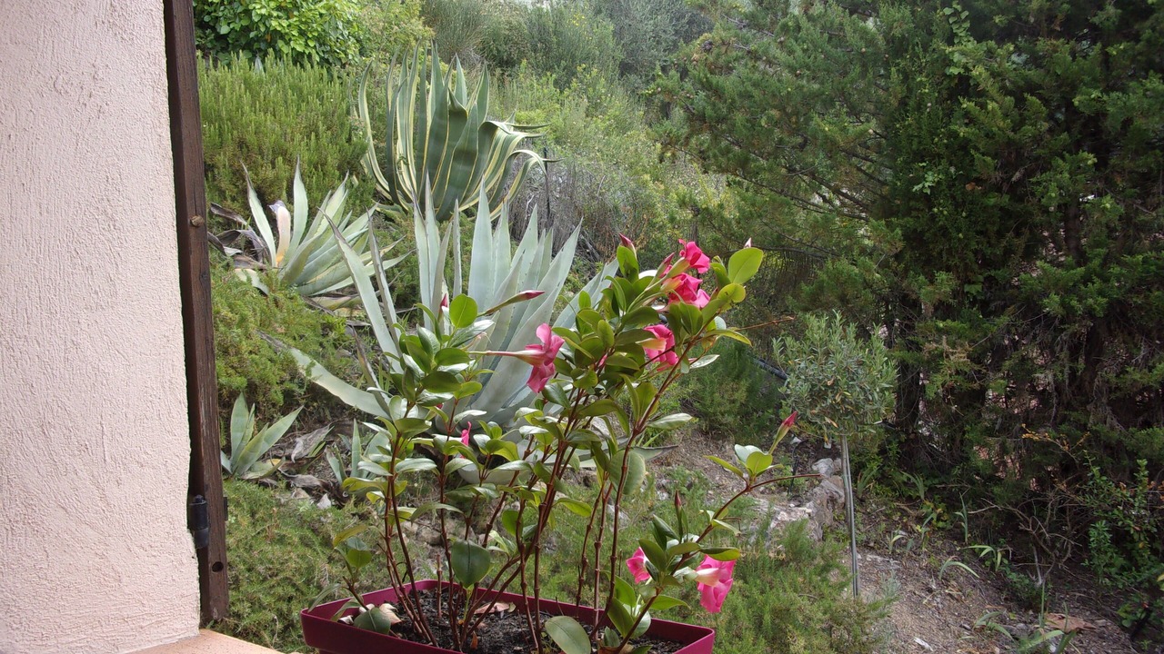 Photo of Outdoor in Aspremont