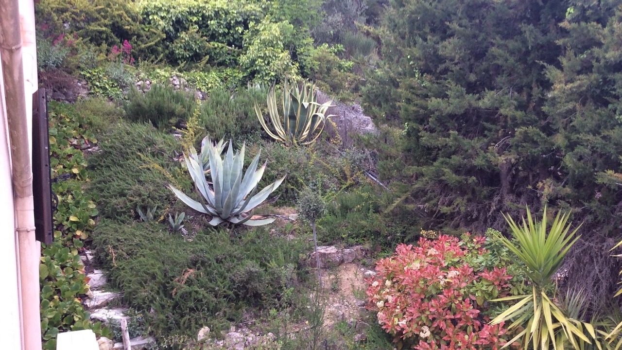 Photo of Outdoor in Aspremont