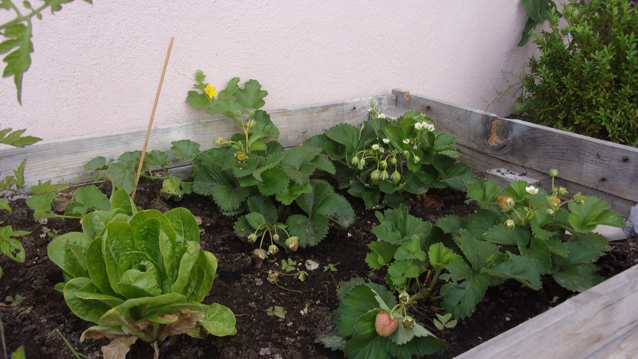 Photo of Outdoor in Aspremont