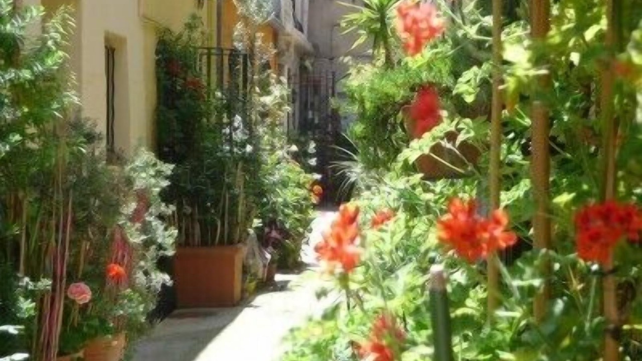 Photo of Outdoor in Antibes Old Town