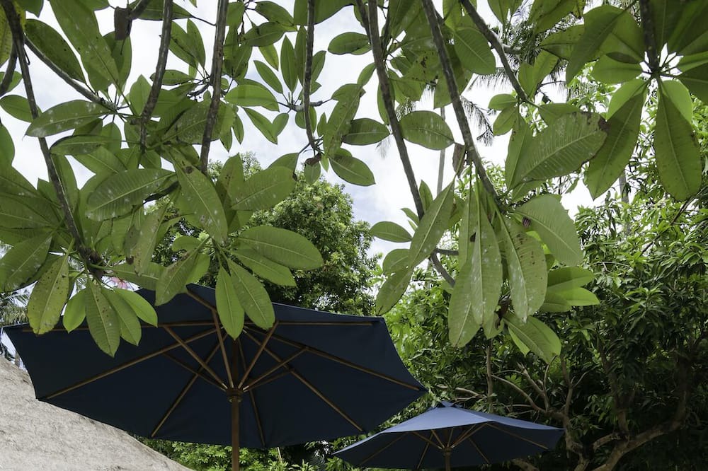 Photo of Outdoor in Sanur Kauh
