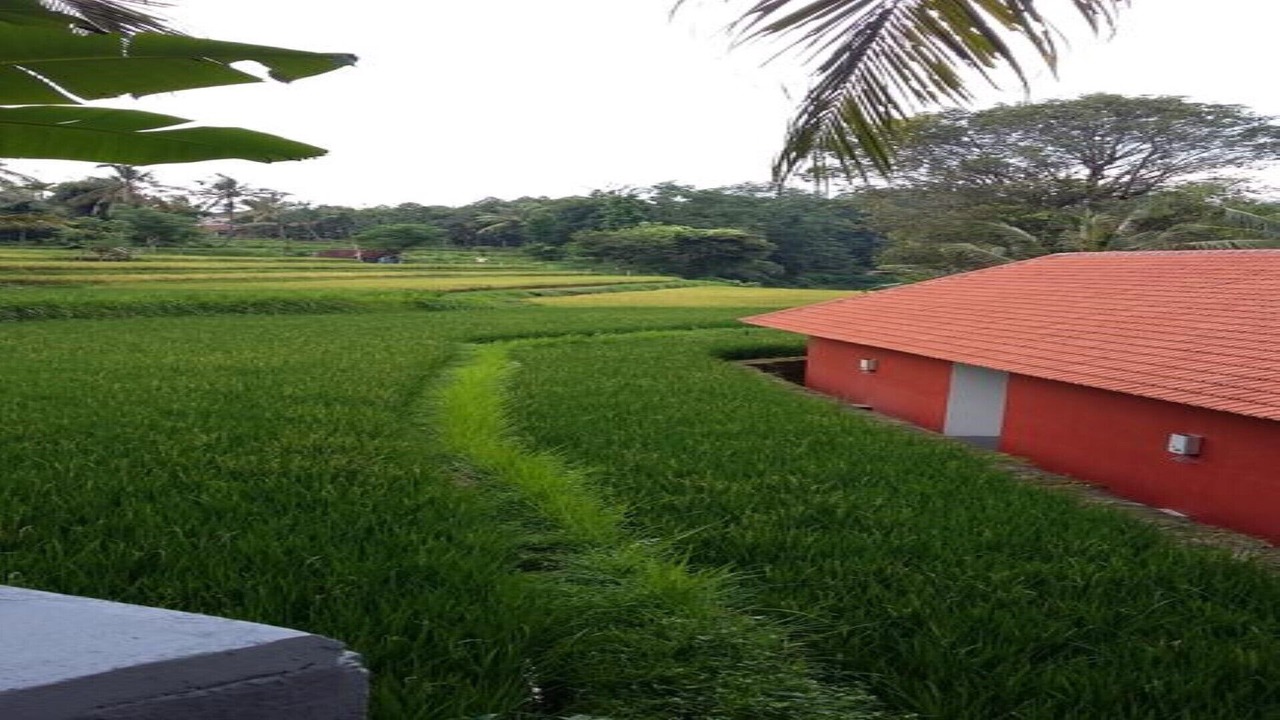 Photo of Outdoor in Singaraja