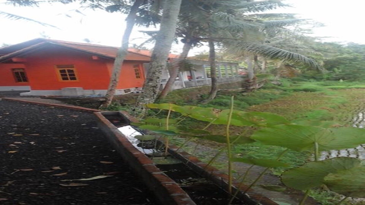 Photo of Outdoor in Singaraja