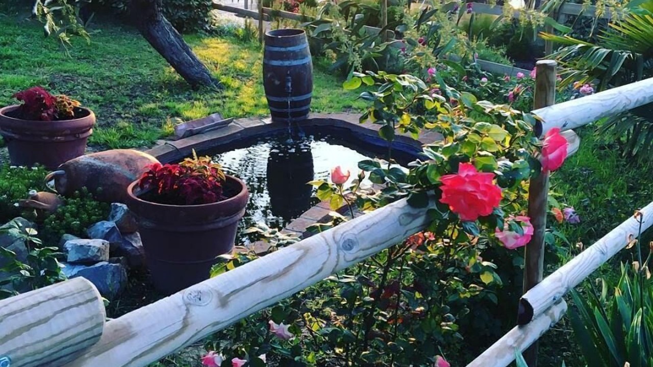 Photo of Outdoor in Santa Luce