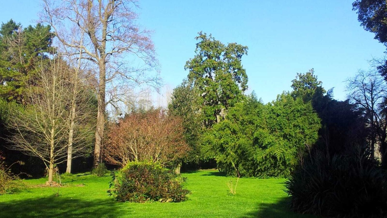 Photo of Outdoor in Vicopelago