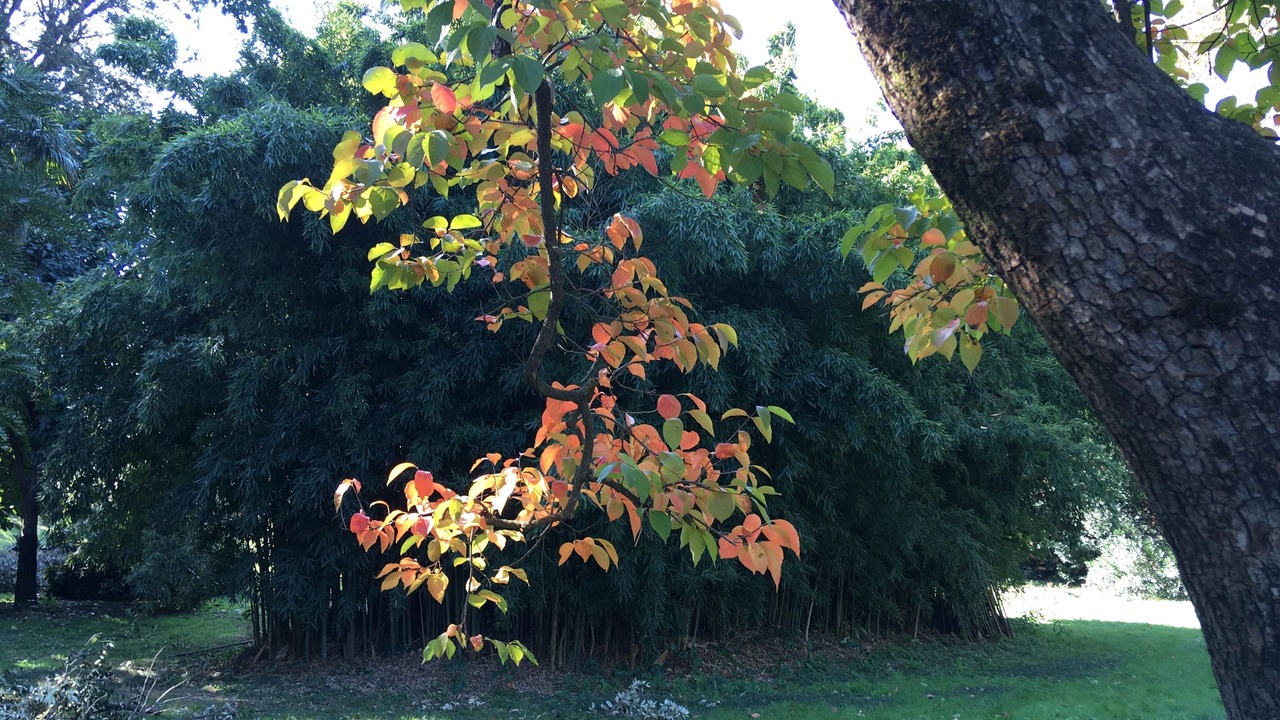 Photo of Outdoor in Vicopelago