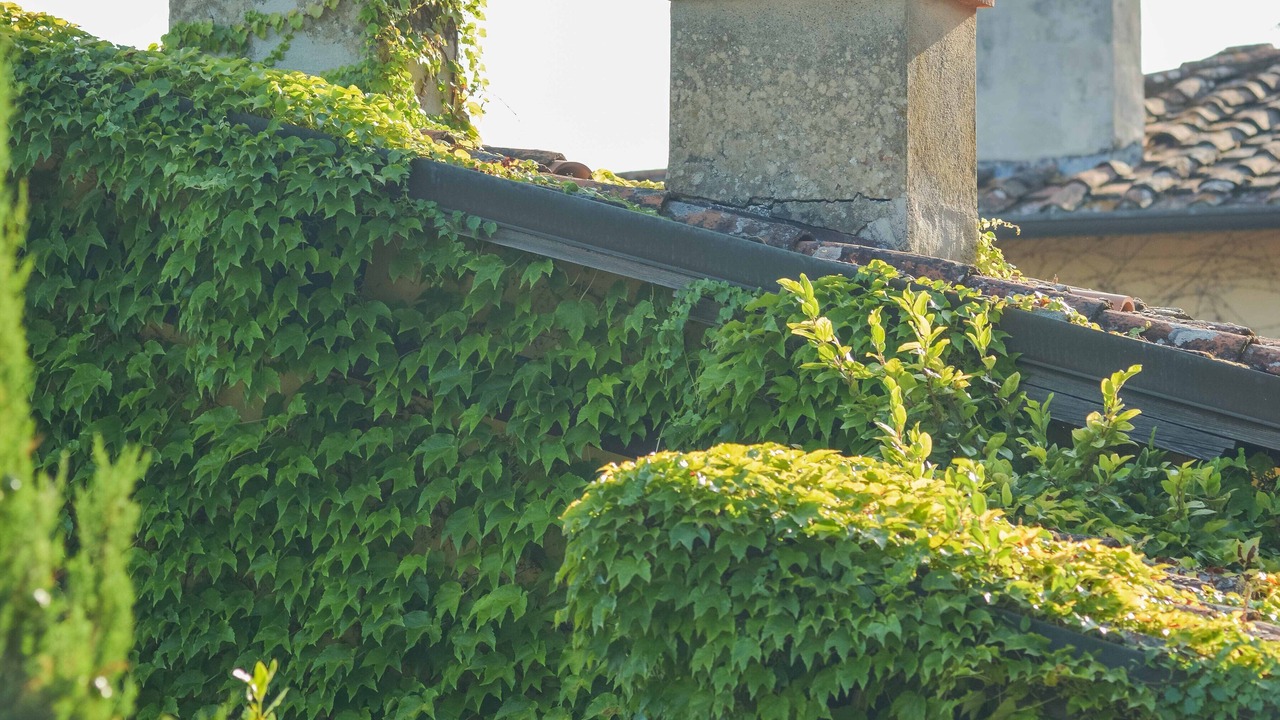 Photo of Outdoor in Lucca