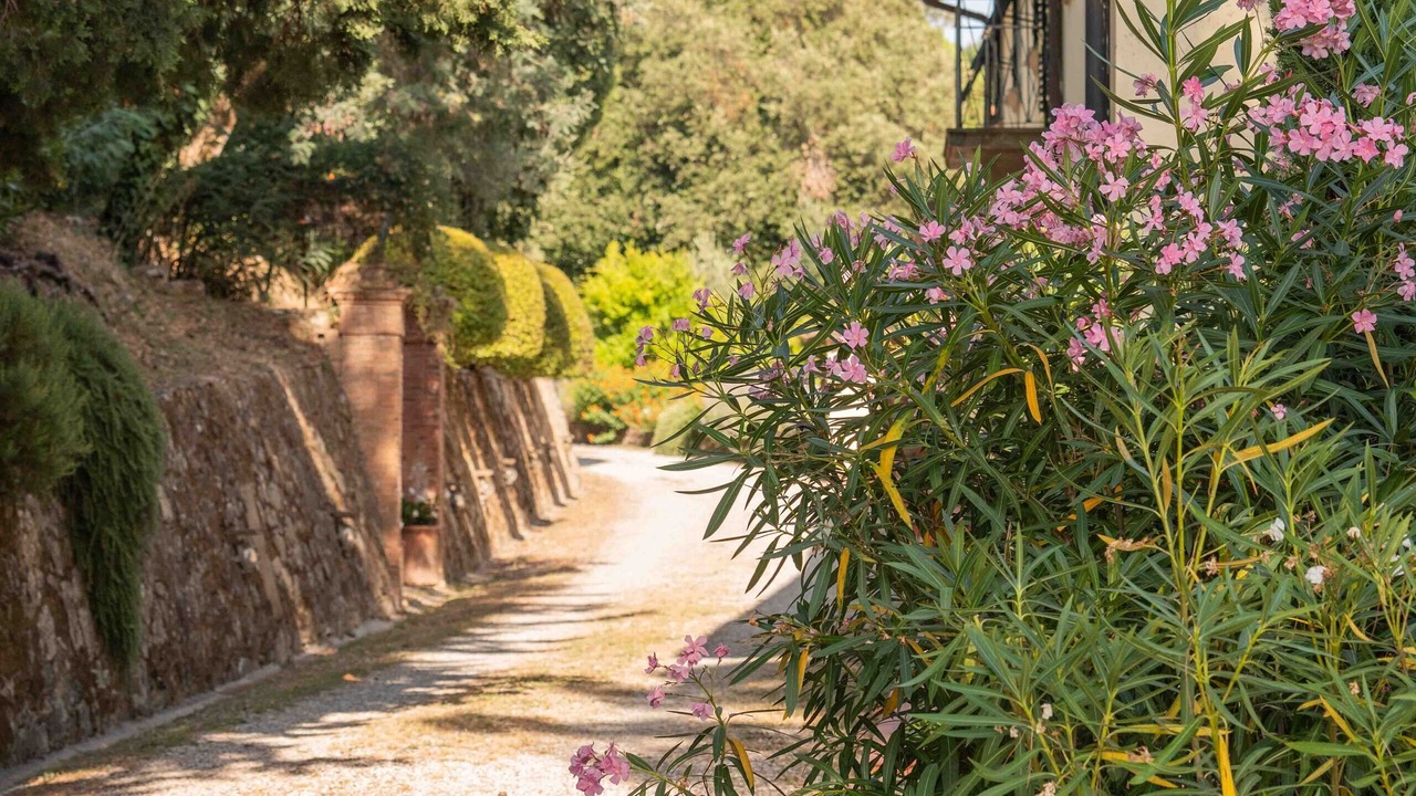 Photo of Outdoor in Lucca