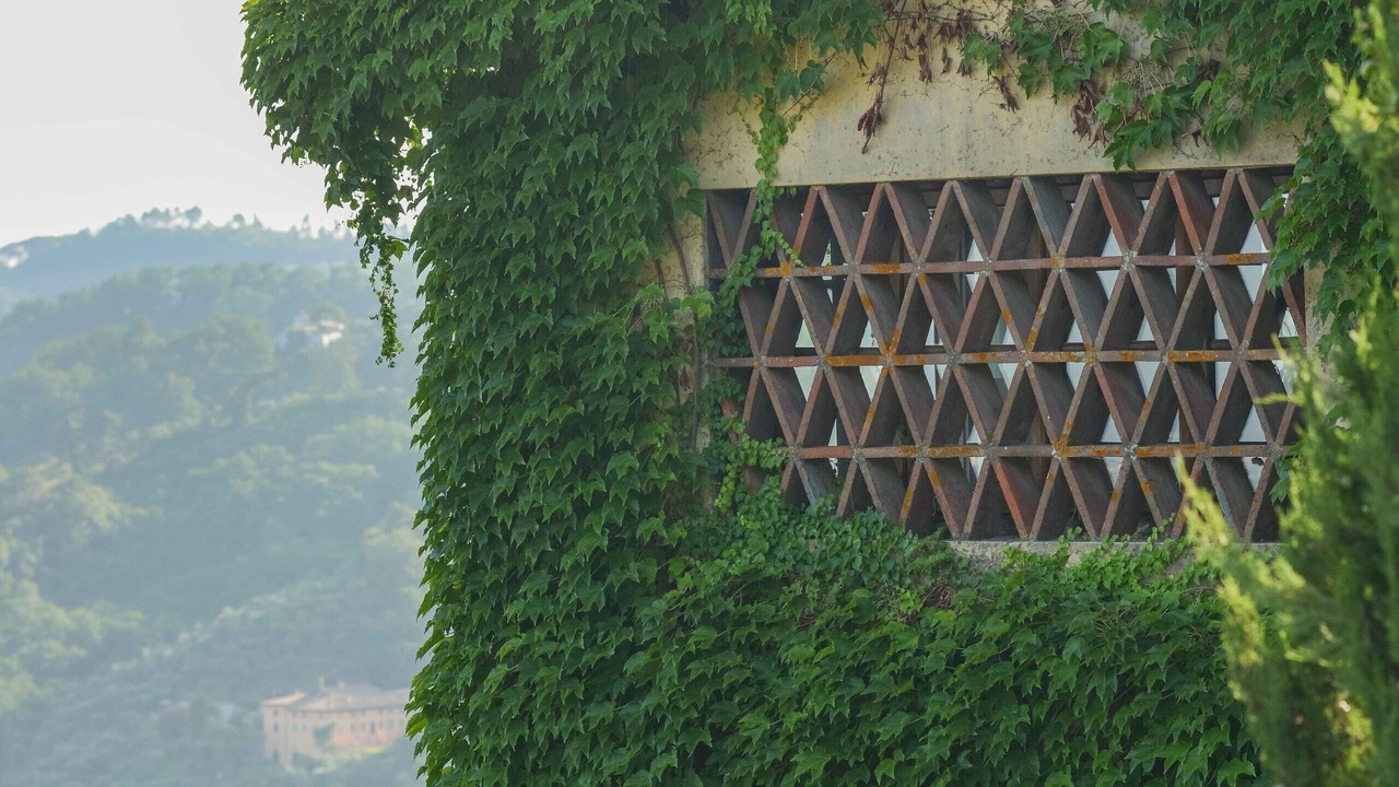 Photo of Outdoor in Lucca