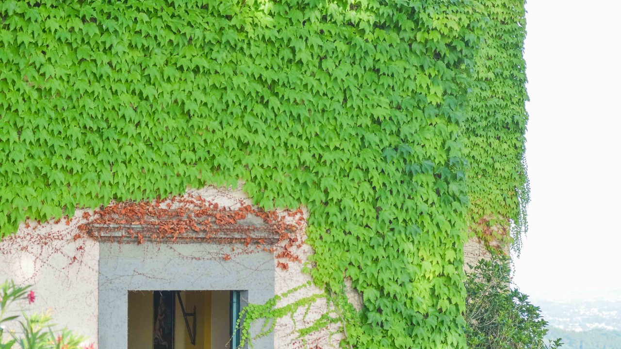 Photo of Outdoor in Lucca
