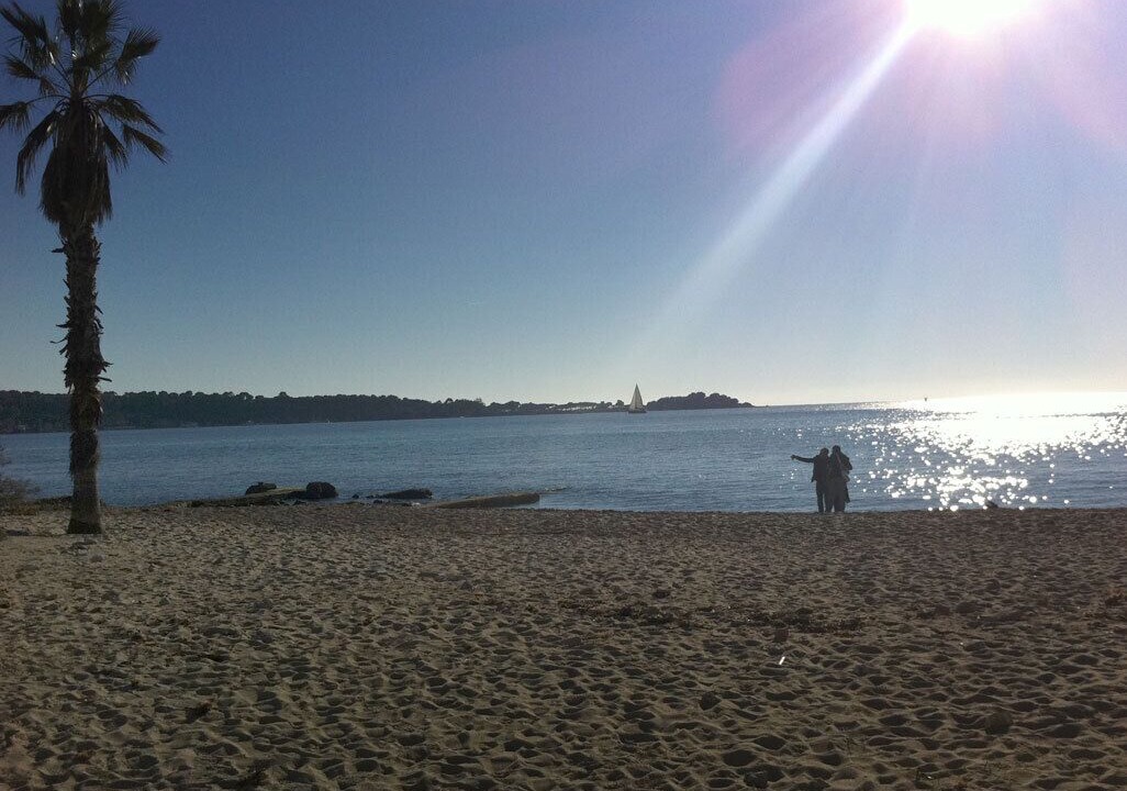 Photo of Others in Cannes