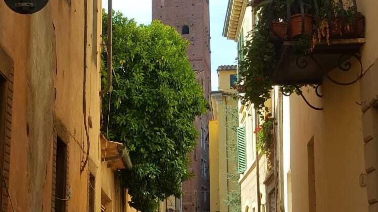 Photo of Others in Lucca Historical Center