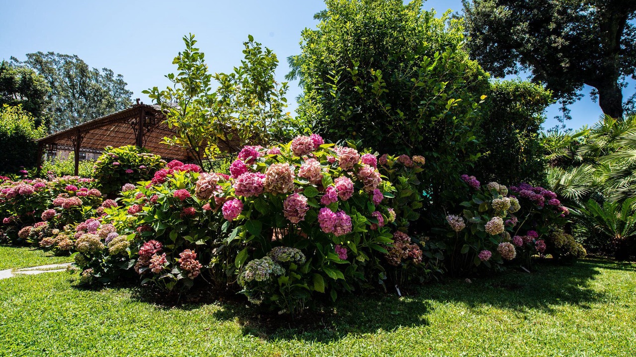 Photo of Outdoor in Forte dei Marmi
