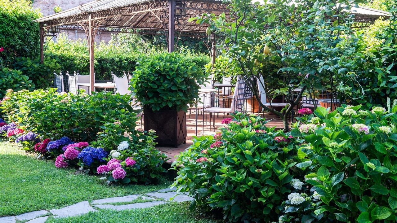 Photo of Outdoor in Forte dei Marmi