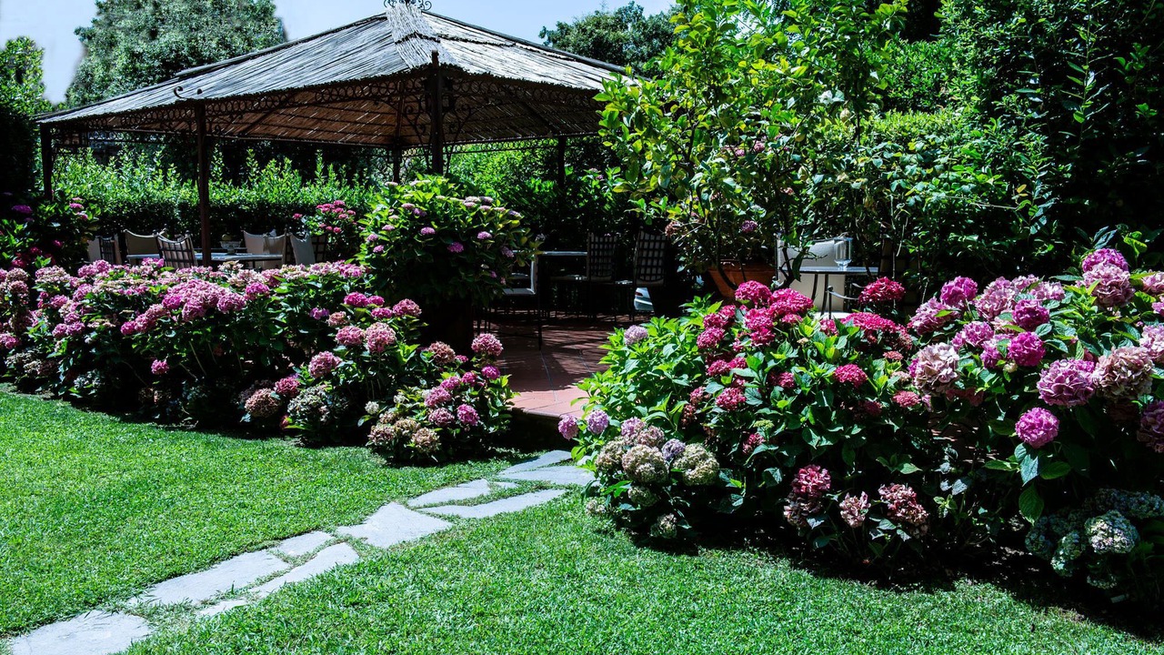Photo of Outdoor in Forte dei Marmi