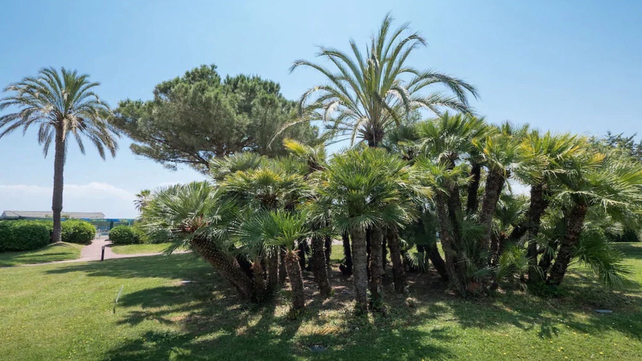 Photo of Outdoor in Villeneuve Loubet Beach