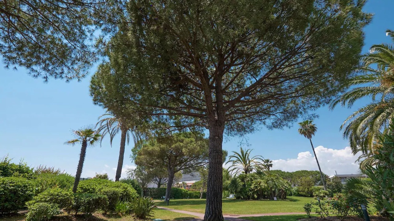 Photo of Outdoor in Villeneuve Loubet Beach