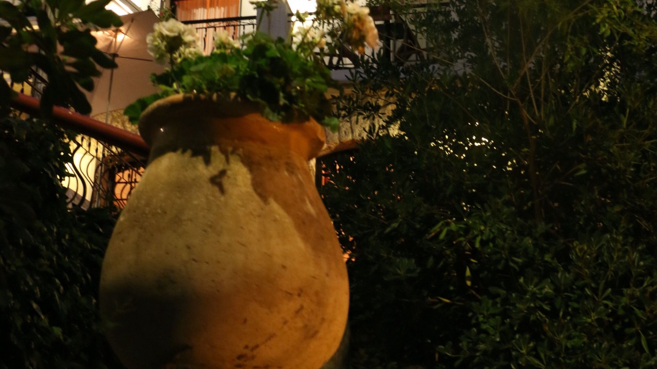 Photo of Outdoor in Peillon