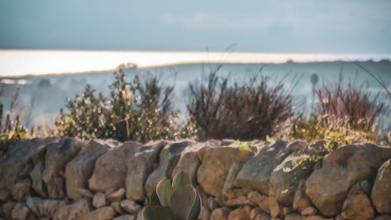 Photo of Others in Noto